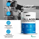 COLLAGEN 300g Weider