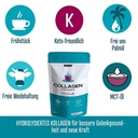 Collagen Creamer 360g Weider